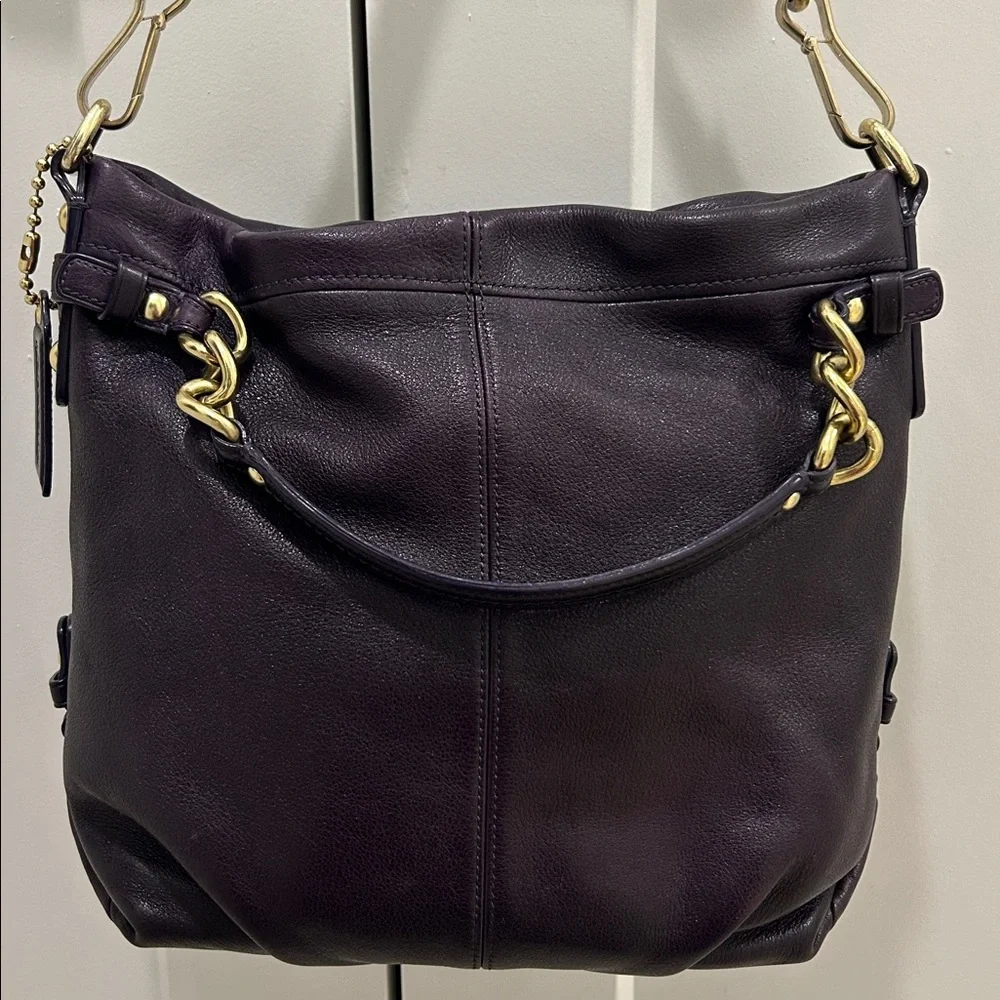 Coach Brooke Hobo Shoulder Bag in Eggplant